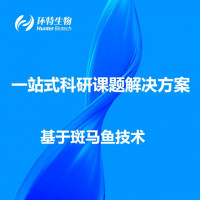 科研课题实验外包一站式解决方案/斑马鱼课题实验/课题申报
