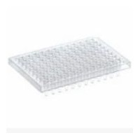 Streptavidin Coated Plates (Hi
