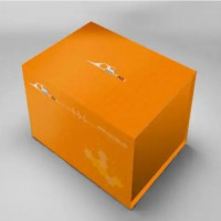 PVDF 膜 0.2 μm  6 cm × 8 cm