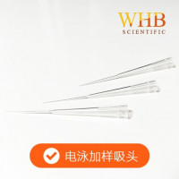 WHB 卧宏 200ul电泳加样吸头 盒装 加样枪头 移液器