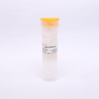 YA1069 透析袋 扁宽31 截留分子量100-500