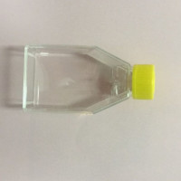 25cm²培养瓶