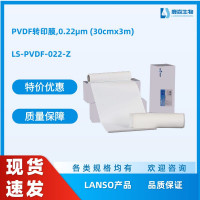 PVDF转印膜,0.22μm (30cmx3m)，替代Mil