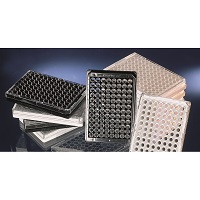 Thermo Fisher Nunc96孔细胞培养板