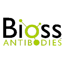 2017年12月Bioss抗体产品文献引用精选