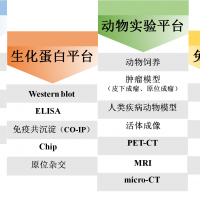生物技术平台