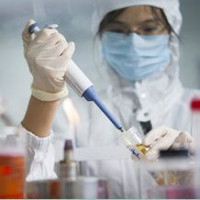 文稿专业翻译（威斯腾生物-中关村生物医学研发检测共享平台！