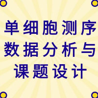 【医药加】单细胞测序数据分析与课题设计研讨会（网络）