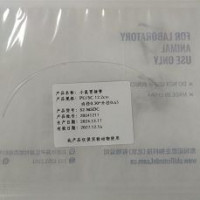 小鼠胃插管