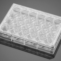 Corning® BioCoat™ Matrigel® 包被