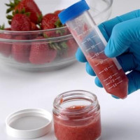 Anavo™ QuEChERS固相分散萃取