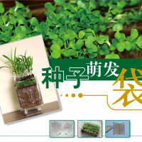 种子萌发袋(小种子) 植物萌发袋 儿童科学玩具 科普实验游戏