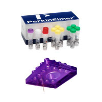 Protein EXact Assay 芯片和试剂盒-Per