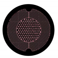 AgarSqueezer Silicium Wafer 细胞