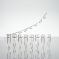 LAVIBE 0.2 mL PCR 8 联管