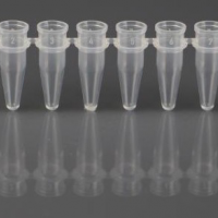 PCR管及盖  PCR Tubes and Caps