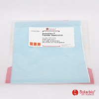 PVDF膜（0.22um）13.25*15cm