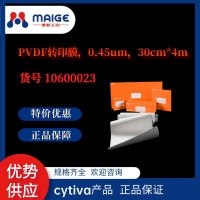 热销：PVDF转印膜，0.45μm，30cm*4m*cyti