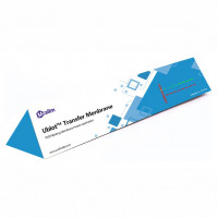 Ublot™ PVDF印迹膜，0.2 μm，W3F23