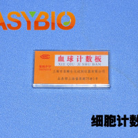 细胞计数板 血球计数板