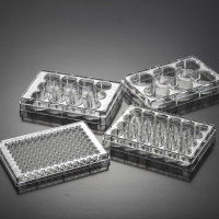 CS016-0095/ 48 Well Cell Cultu