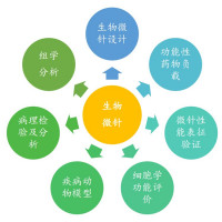 微针治疗