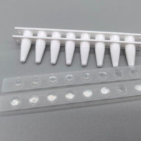 Eaivelly, EA0201-11, 0.1ml 白色八