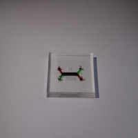 Bio Micro-Environments Chip (B