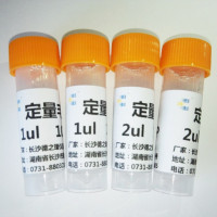 德之瑞1ul薄层色谱点样专用定量毛细管