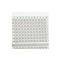 4titude® FrameStar®96孔半裙边PCR板,