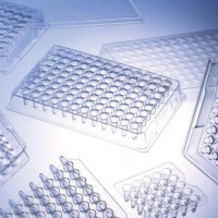 ThermoQuick聚碳酸酯PCR板，板盖