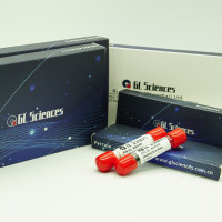 GL系列通用型GC常用耗材