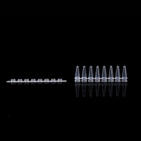 KIRGEN 0.2ml 8联排荧光定量PCR管