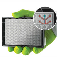 OrganoPlate® 3‑lane 64 器官芯片