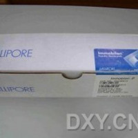 MILLIPORE PVDF膜(0.22um/0.45um)