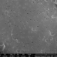 重离子微孔膜 核孔膜 微孔滤膜孔径0.22μm