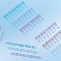 PCR8联管、管帽