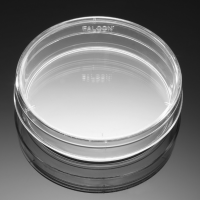 Falcon® 60 mm x 15 mm细菌培养皿，未经T