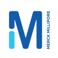 Immobilon-NC Transfer Membran