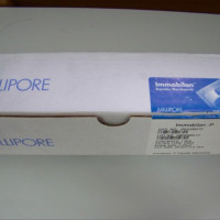 Merck Millipore  PVDF膜转印膜