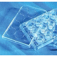 transwell 板 3422 24孔8um