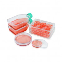 3DSphearo™ 超低吸附表面产品