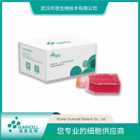 Caco-2人结直肠腺癌细胞