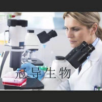 HCE-4 Cell;HCE-4细胞系(STR鉴定图谱)