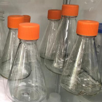 PETG锥形瓶Erlenmeyer Flask