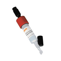 MBP标签蛋白纯化预装柱1ml