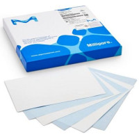 Immobilon®-PSQ PVDF转印膜预切片膜，0.2