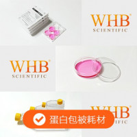 胶原包被96孔培养板，灭菌