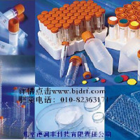 康宁（corning）细胞培养瓶