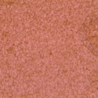 PC聚碳酸脂0.22微米滤膜